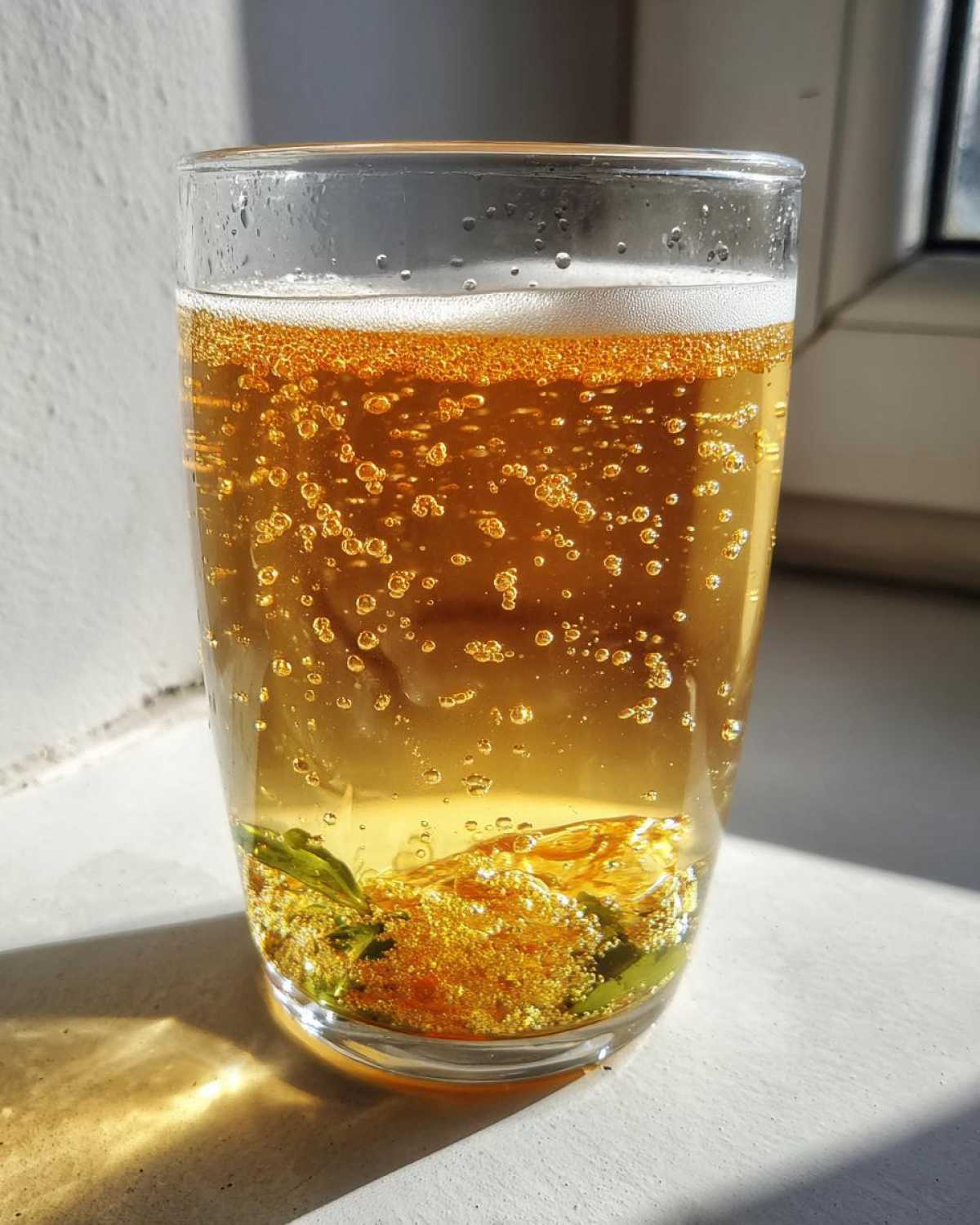 Ginger Kombucha - detail 1