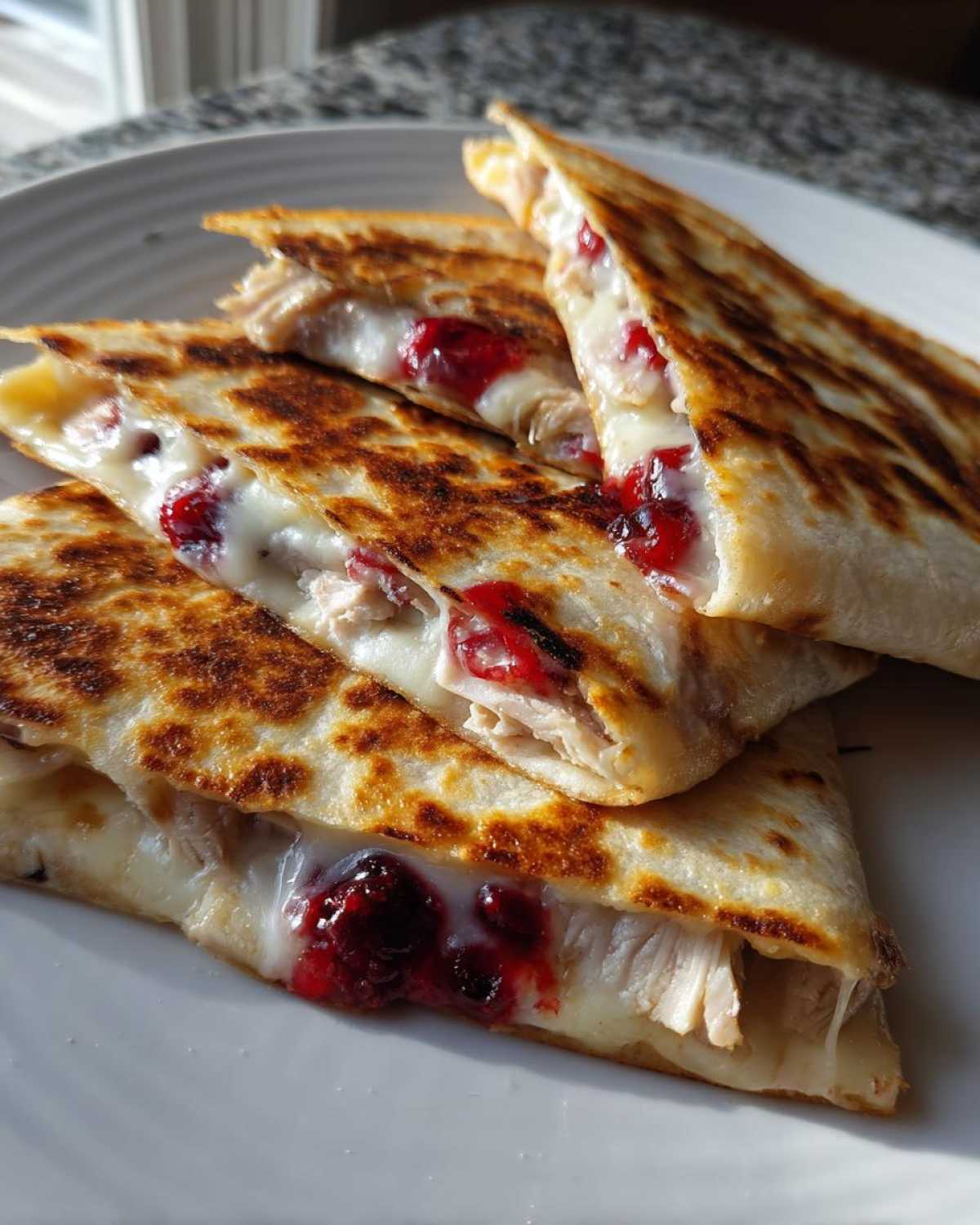 Turkey and Cranberry Quesadillas - detail 1