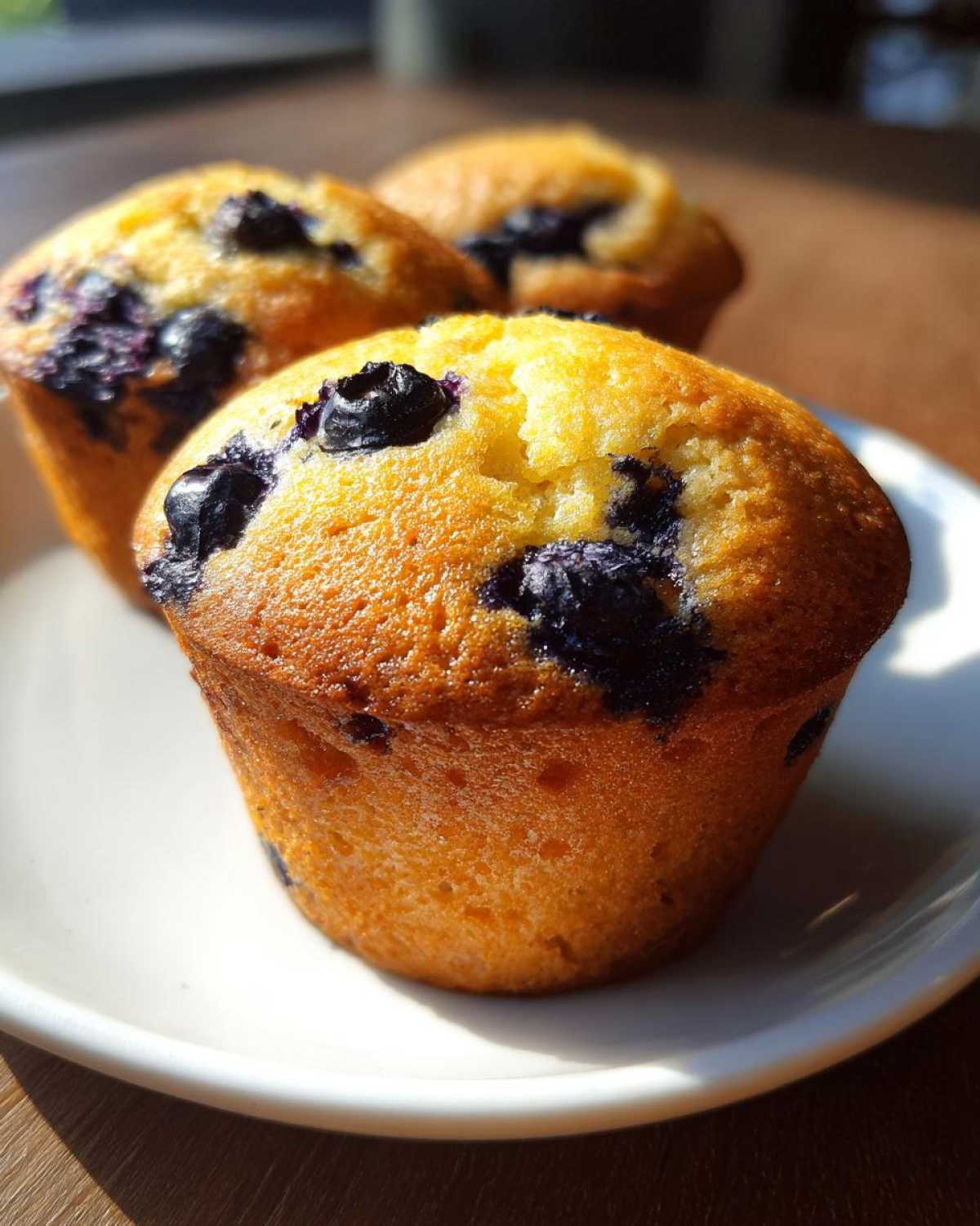 Close-up of three golden Easy Blueberry Yogurt Protein Muffins sitting on a white plate in bright sunlight.